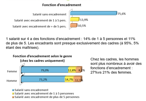 Sondage CSE égalité professionnelle