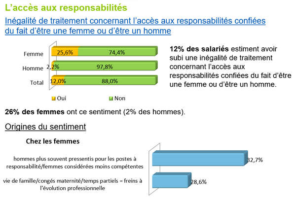 Sondage CSE égalité professionnelle